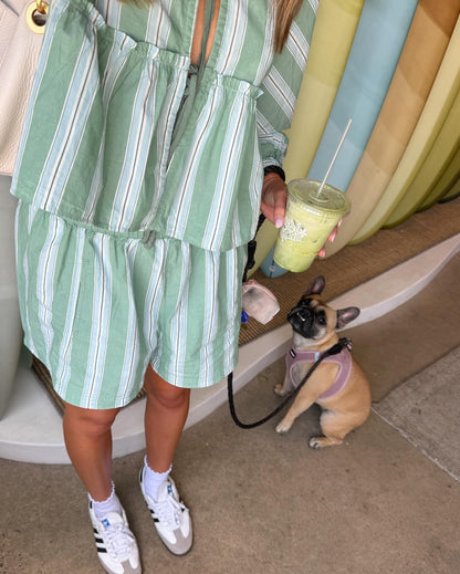 Brunch Babe Green Striped Blouse Shorts Set